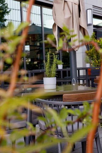 a table with potted plants on top of it at Hotel Indigo Berlin - East Side Gallery in Berlin