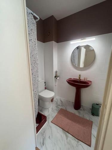 une salle de bain avec un lavabo, des toilettes et un miroir dans l'établissement Studio Saint Florent, à Saint-Florent