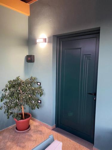 a plant in a pot next to a door at Vila Ajdinaj in Berat