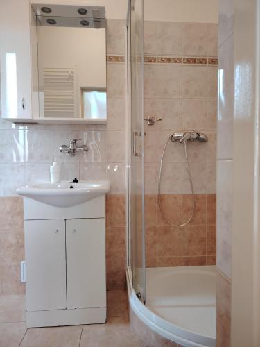 a bathroom with a shower and a sink at Pacov 501 in Pacov
