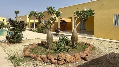 a garden with palm trees in front of a building at RELAX PARC Mboro in Mboro