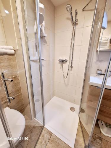 a shower with a glass door in a bathroom at Apartment Katharina in Spital am Pyhrn
