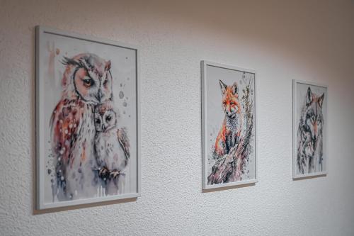 four pictures of owls hanging on a wall at Zrub Šumiac in Šumiac