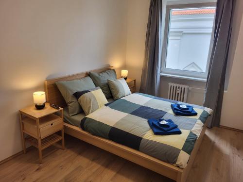 City Center Apartments - Moderna Brno Římské náměstí VI