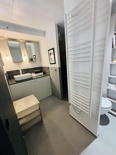 une salle de bain avec toilettes, deux lavabos et une douche dans l'établissement Cozy apt Canal Saint Martin, à Paris