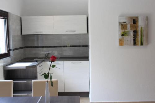 Beautiful green studio apartment