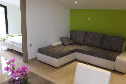 Beautiful green studio apartment