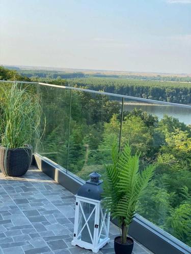 a balcony with a plant and a view of a river at Vila La hacienda in Beška