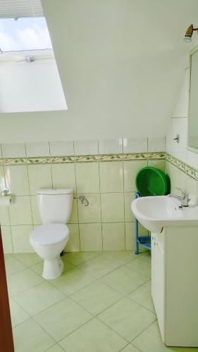 a bathroom with a toilet and a sink at Pokoje Gościnne Odargowo Morska 42 in Odargowo