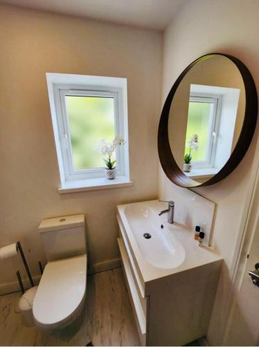 a bathroom with a toilet and a sink and a mirror at 3 Bedroom Guest House in Dudley in Dudley