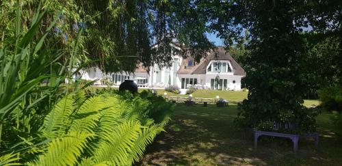 Taman di luar Strzecha Chopina - Dom i półwysep tylko dla Ciebie