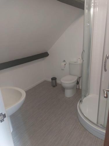 a bathroom with a toilet and a shower and a sink at The Blue Bell in Boroughbridge