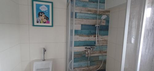 a bathroom with a shower with a toilet and a picture at Haus der Geschenke - Carinthia in Velden am Wörthersee