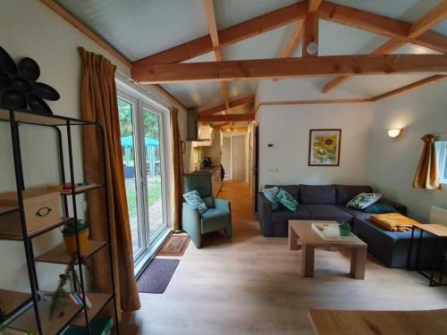 ein Wohnzimmer mit einem blauen Sofa und einem Tisch in der Unterkunft Comfortabele houten Chalet bij de Veluwe in Epe