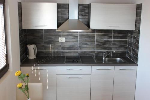 Panoramic studio apartment