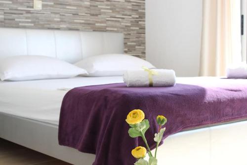 Panoramic studio apartment