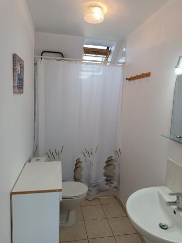 une salle de bain avec une douche, des toilettes et un lavabo dans l'établissement NOUVELLE VILLA d'EMERAUDE PROCHE MER, à Saint-Méloir-des-Ondes