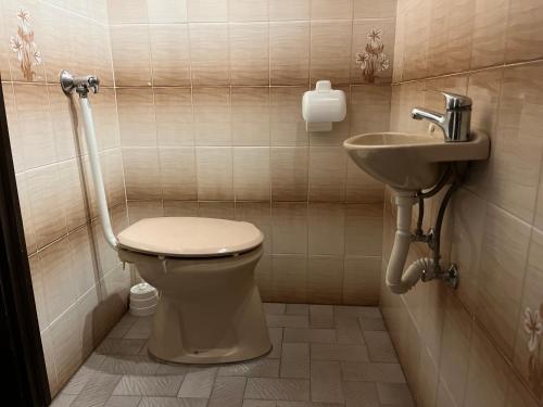 a bathroom with a toilet and a sink at Flamingó Szállás in Kiskunmajsa