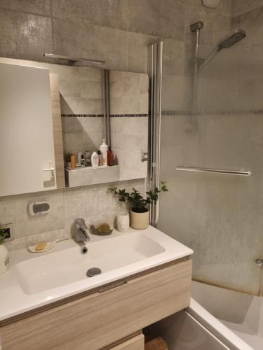 une salle de bain avec un lavabo et une douche dans l'établissement Chambre indépendante avec douĉhe italienne privée, à Sartrouville