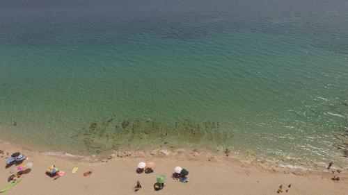 a group of people on a beach with the ocean at Casa Tribi a 250 mt dalla spiaggia di Specchiarica di San Pietro in Bevagna in Torre Colimena