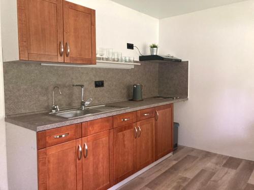 a kitchen with wooden cabinets and a sink at Chatová osada Zelený Háj in Merklín