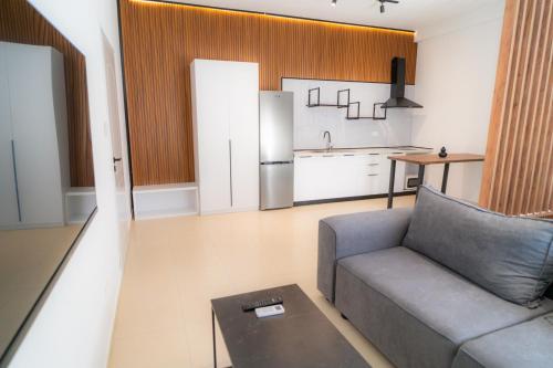 シュコダルにあるEnea Room in Centerのソファとキッチンのあるリビングルーム