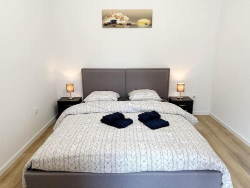 米卢斯RS-1 - Chaleureux 2 pièces au 1er étage tout équipé 1-3 pers的一间卧室配有一张带两个蓝色枕头的床