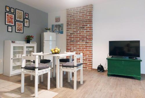 Cosy Apartment with Terrace for 2 Guests and Pets in the Center of Vodice