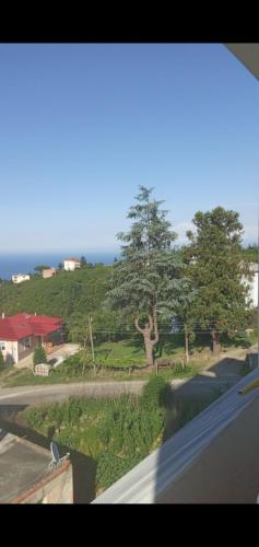 Φυσικό τοπίο κοντά σε αυτό το διαμέρισμα
