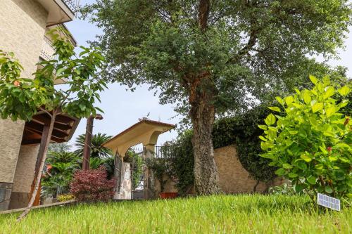 Κήπος έξω από το Villa Elisabetta