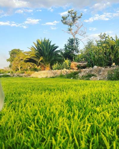 Un jardín fuera de Cabaña Donatos