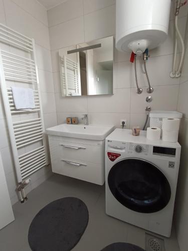 a small kitchen with a washing machine and a sink at Cozy Nest Apartment Konjic in Konjic