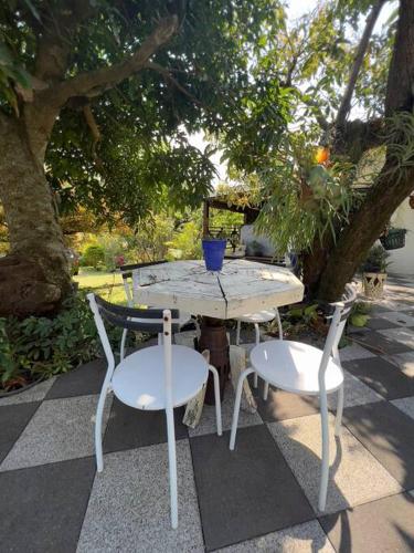 a table and two chairs sitting next to a tree at Terres D'Éden, Le Gîte de Charme in Saint-Joseph