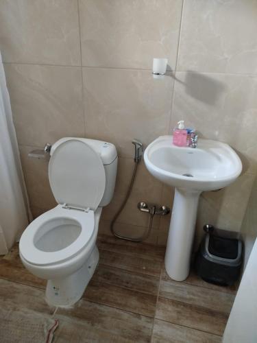 a bathroom with a toilet and a sink at Apartamento centro young in Young