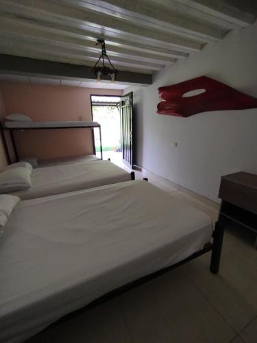 two beds in a room with a window at Mountain View Hostel in Manizales