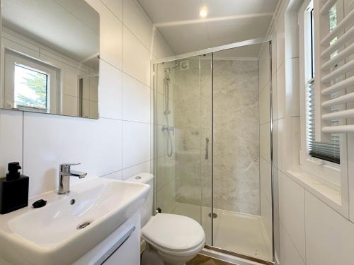a bathroom with a toilet sink and a shower at Chalet 503a op Recreatiepark De Wielen in Sint Maarten