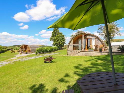 a green umbrella sitting on top of a grass field at Oak View in Llangadog