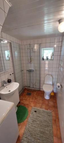 a bathroom with a toilet and a sink at Fridfullt sommarhus mitt på Österlen nära Simrishamn, Tomelilla och Ystad in Gärsnäs