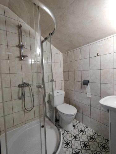 a bathroom with a shower and a toilet and a sink at Noclegi na Cichej - Łosiówka in Sztutowo