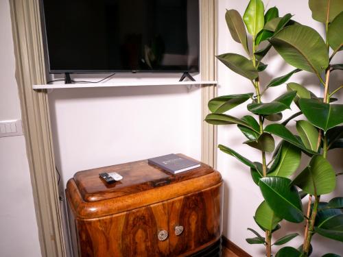 a wooden box sitting next to a plant and a tv at Mercanti e Viaggiatori in Turin