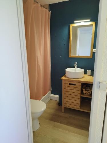 une salle de bain avec un lavabo, des toilettes et un miroir dans l'établissement Studio cabine, à Saint-Cyprien