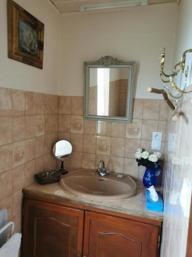 une salle de bain avec un lavabo et un miroir dans l'établissement Maison LES 3 ROSES, à Wolfisheim