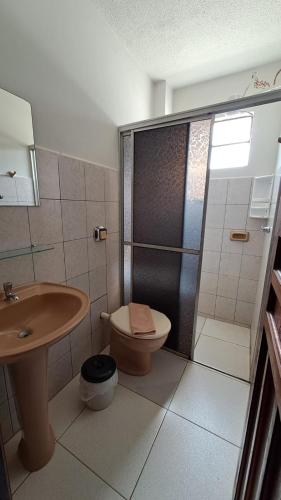 a bathroom with a shower and a toilet and a sink at Hotel Blue Star II in Foz do Iguaçu
