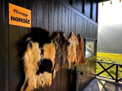 a group of dogs hanging on the side of a barn at Runaway House - Qalacıq in Gabala