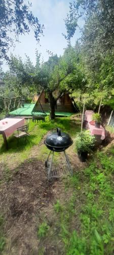 a bbq grill in a yard with a picnic table at La fatina Lodge in Barga