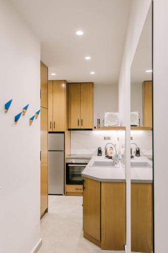 Dapur atau dapur kecil di DEMs central stay Volos with private parking