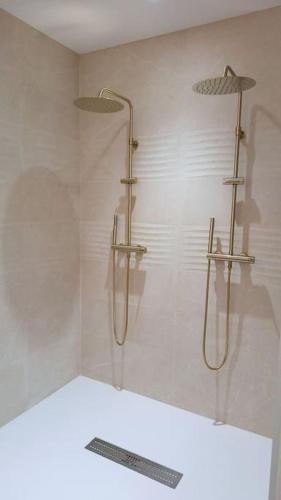 une salle de bain avec une douche avec une porte vitrée dans l'établissement Dépendance studio cosy, à Cannes-et-Clairan