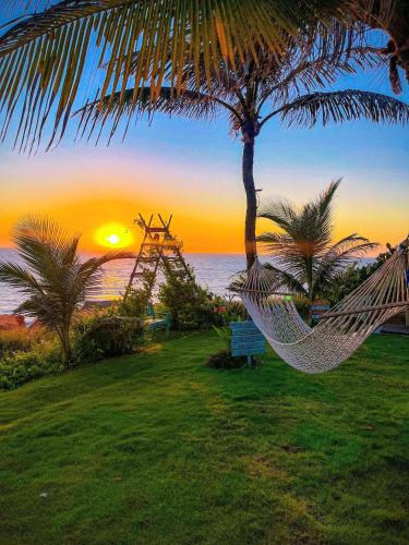 a hammock under a palm tree with a sunset at Raio de Sol Residence in Canoa Quebrada