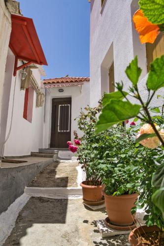 a courtyard with potted plants in front of a building at Velanidia Homestay in Velanídhia