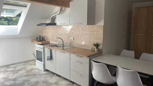 Kuchyň nebo kuchyňský kout v ubytování Orličky Apartments